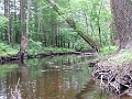 canoeing - cmr klea Tim S july 7 2006 french river trail - another of many barriers